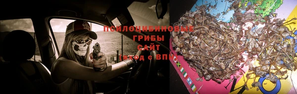 гидропоника Алексин