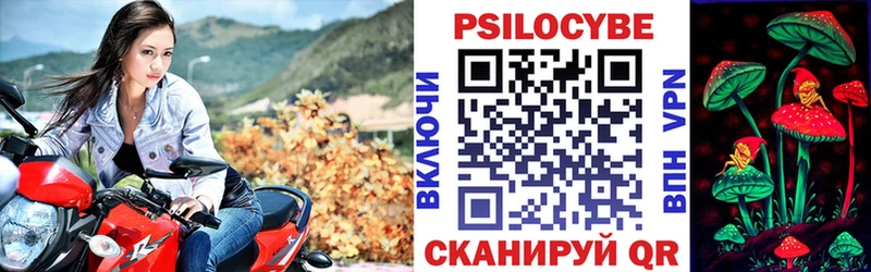 гидра tor Козловка Псилоцибиновые грибы Magic Shrooms